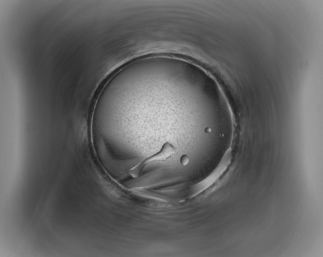 X0000115681505200911191043