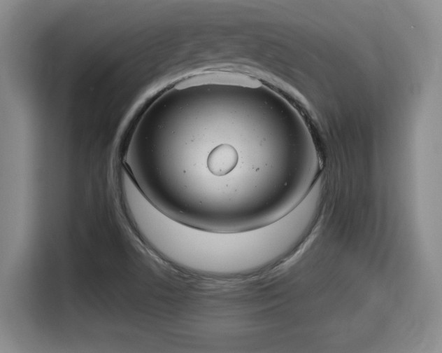 X0000115681506200911191043