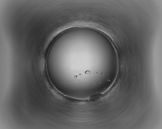 X0000115681507200911191043