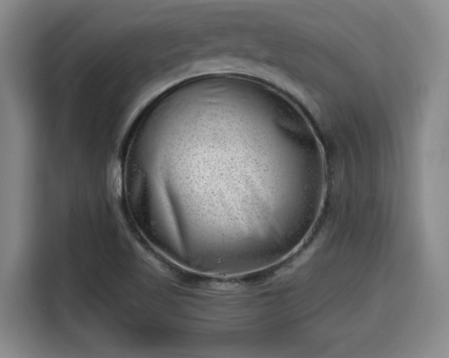 X0000115681509200911191043