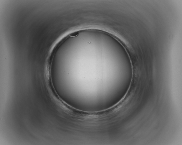 X0000115681510200911191043