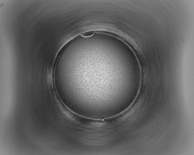 X0000115681513200911191043