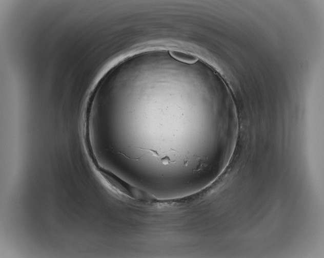 X0000115681523200911191043