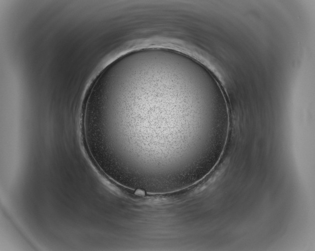 X0000115681525200911191043