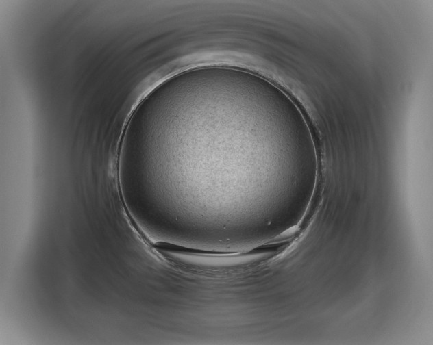 X0000115681529200911191043