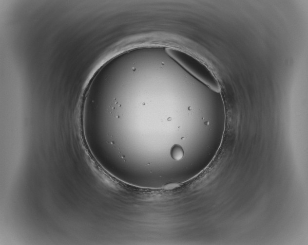 X0000115681530200911191043