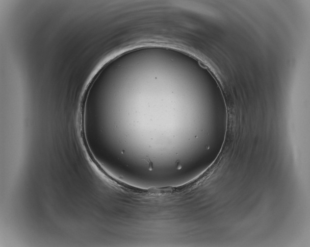 X0000115681531200911191043