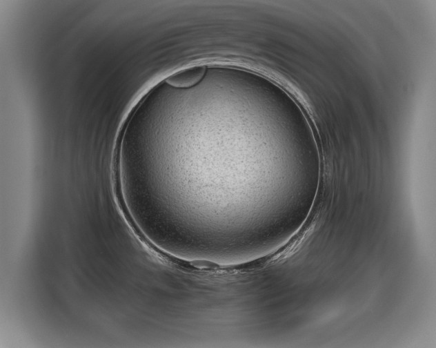 X0000115681533200911191043