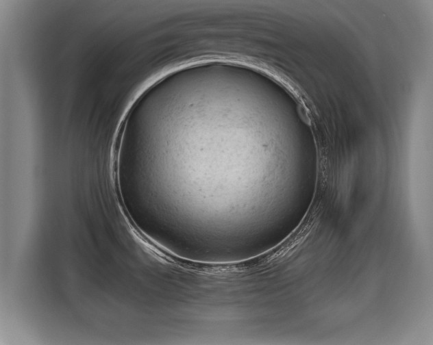 X0000115681535200911191043