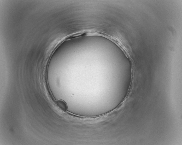 X0000115680001200911251802