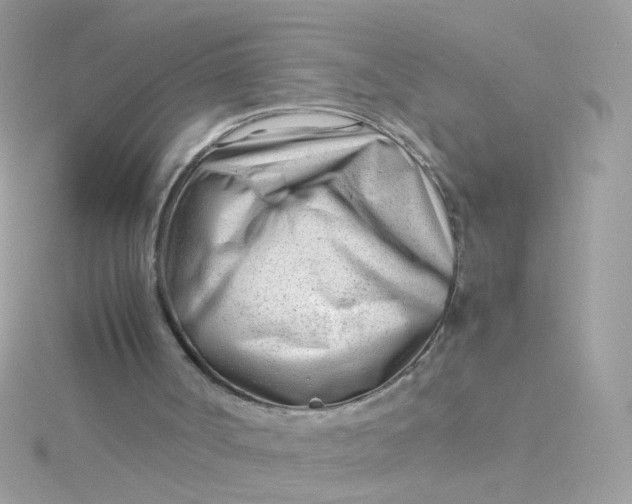 X0000115680002200911251802