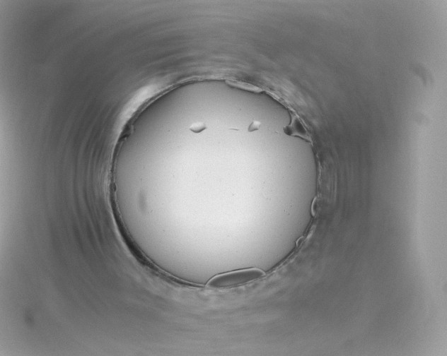 X0000115680003200911251802