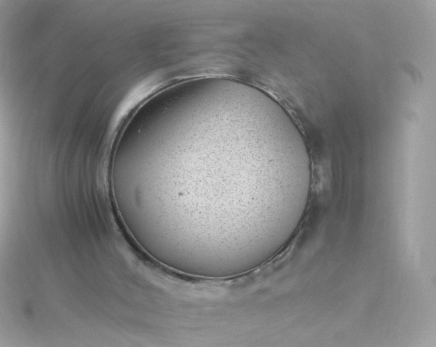 X0000115680004200911251802