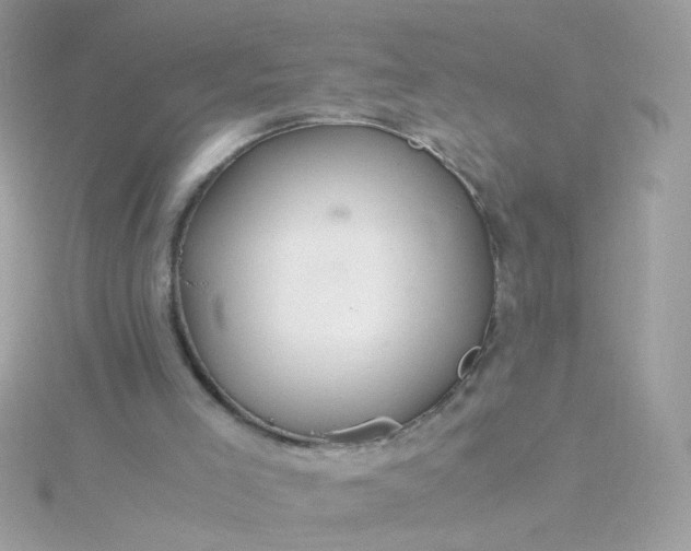 X0000115680005200911251802