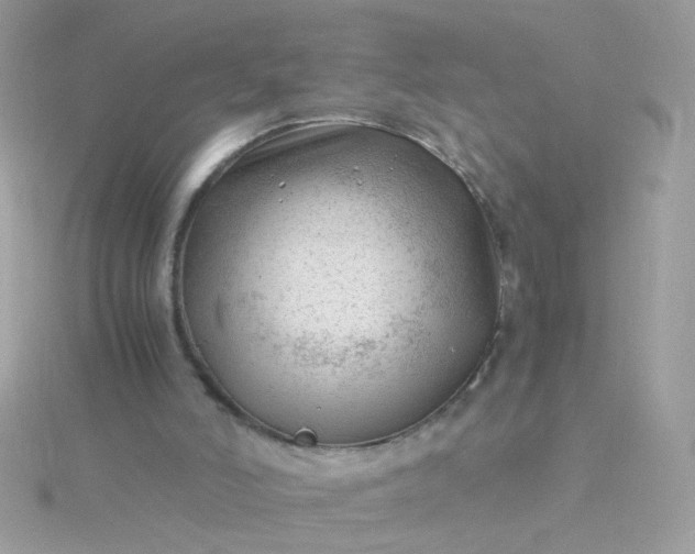 X0000115680006200911251802