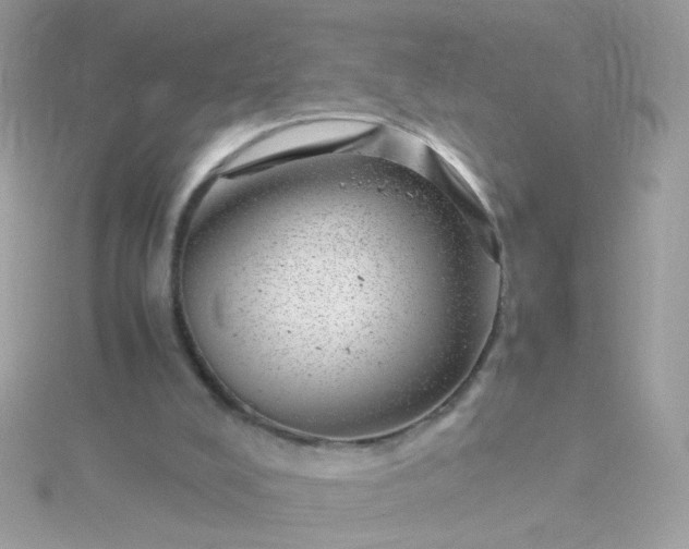 X0000115680008200911251802