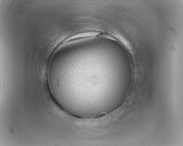 X0000115680009200911251802