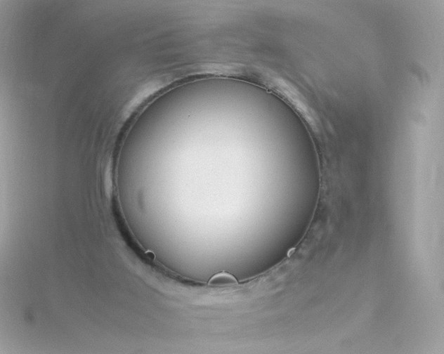 X0000115680011200911251802