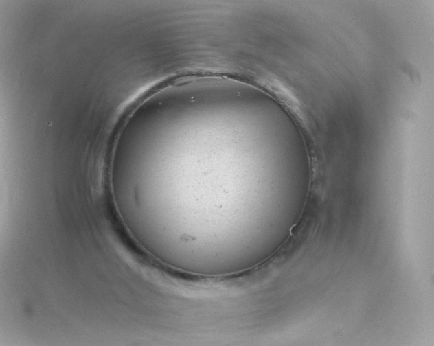 X0000115680012200911251802