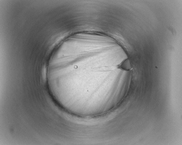 X0000115680014200911251802