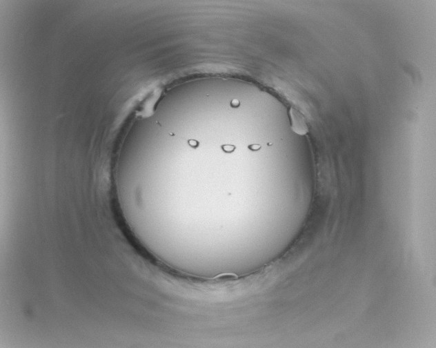 X0000115680015200911251802