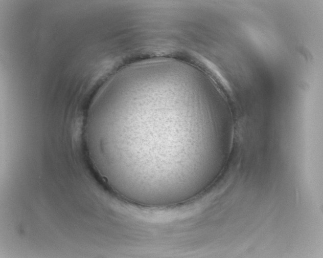 X0000115680018200911251801