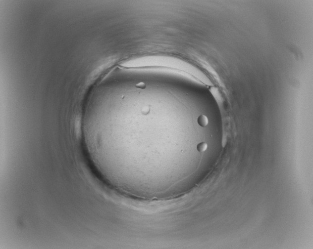 X0000115680019200911251801