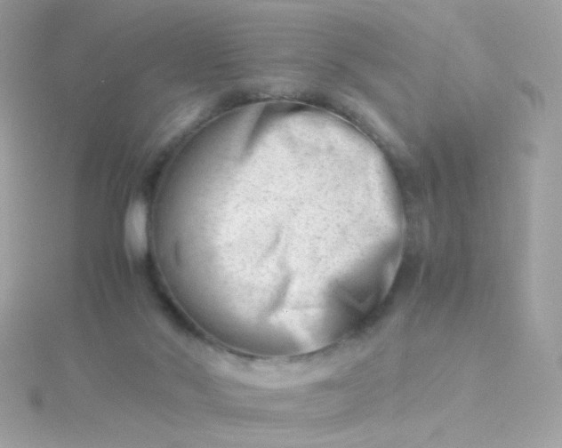 X0000115680022200911251801