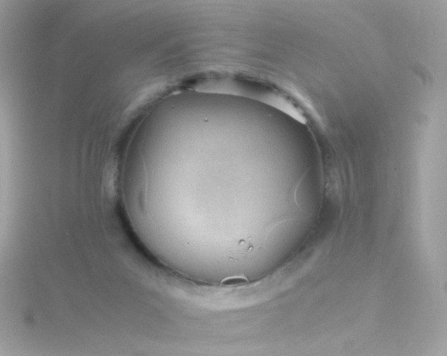 X0000115680023200911251801