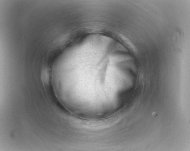 X0000115680026200911251801