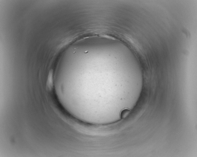 X0000115680028200911251801