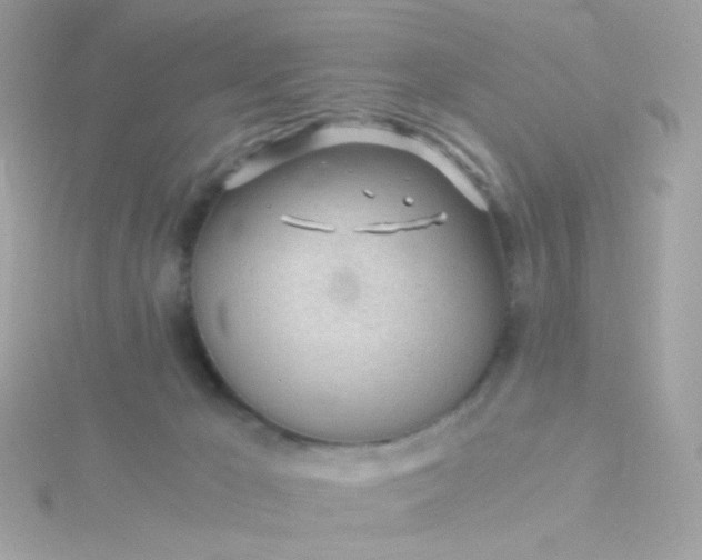 X0000115680029200911251801