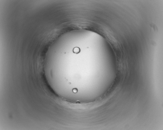 X0000115680030200911251801