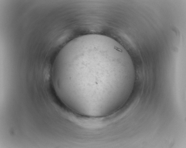 X0000115680032200911251801