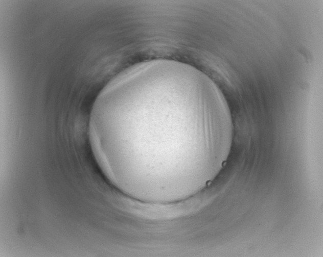 X0000115680034200911251801