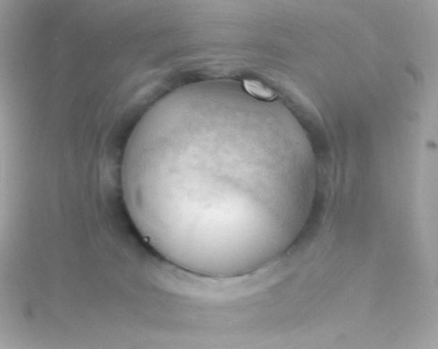 X0000115680035200911251801