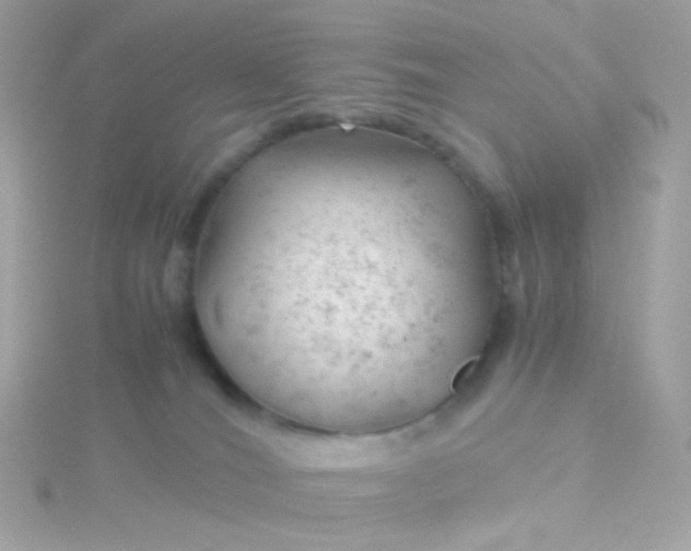 X0000115680036200911251801