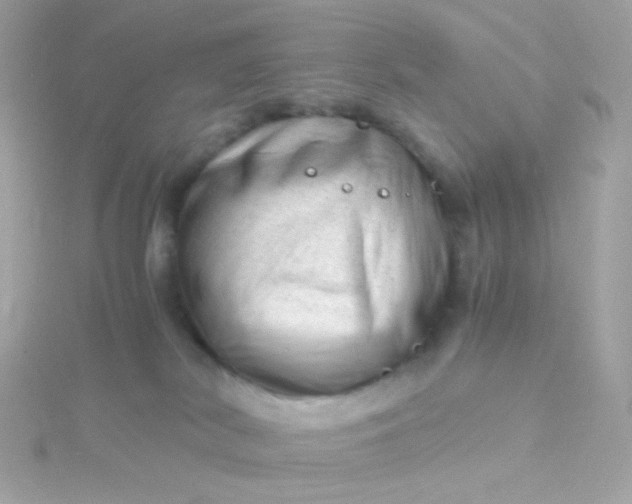 X0000115680038200911251801