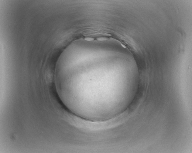 X0000115680039200911251801