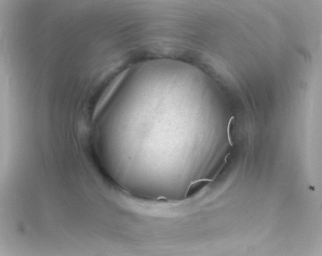 X0000115680040200911251801