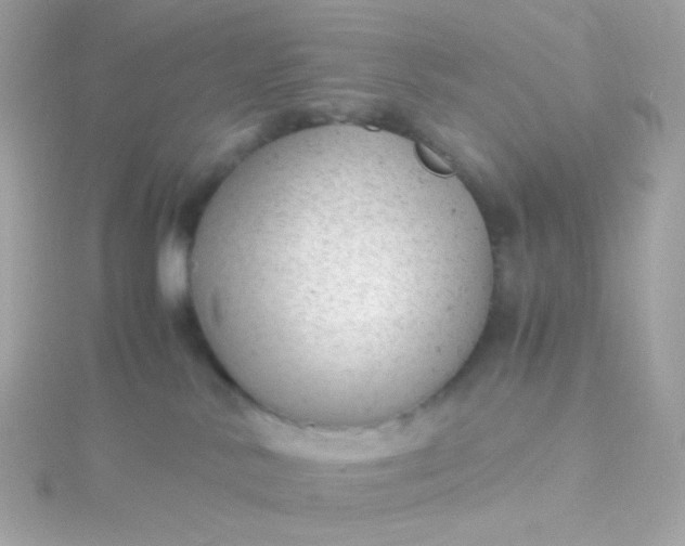 X0000115680042200911251801