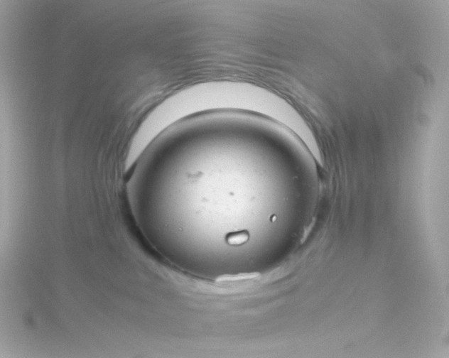 X0000115680043200911251801