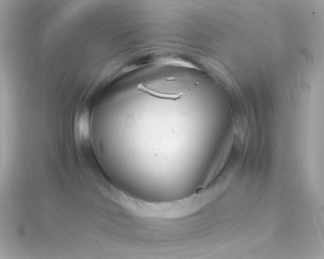 X0000115680046200911251801