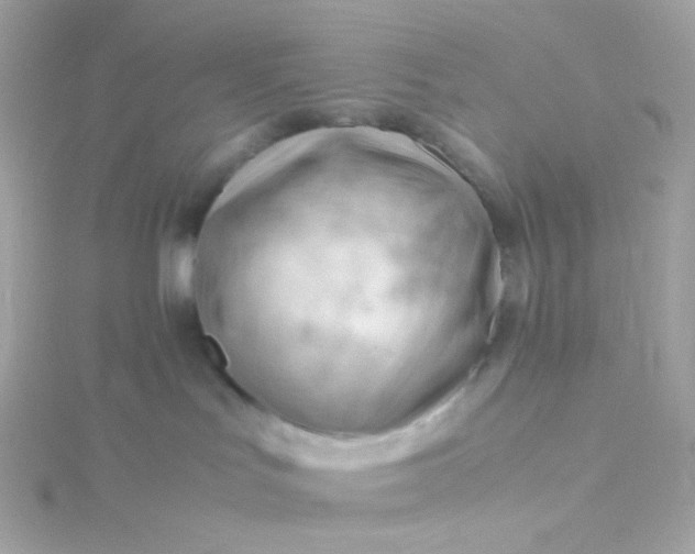 X0000115680047200911251801