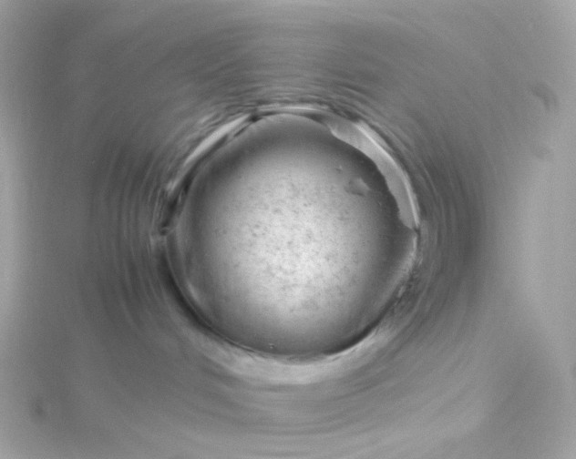 X0000115680048200911251801