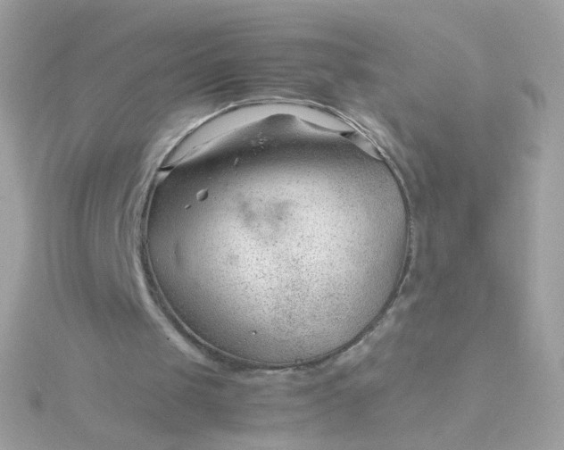 X0000115680049200911251800