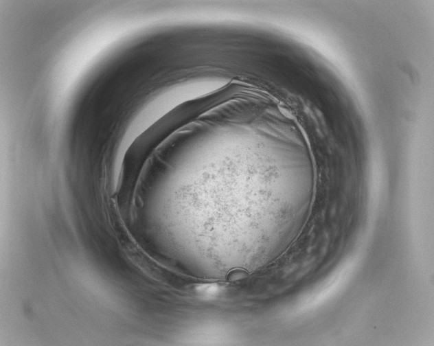 X0000115680050200911251800