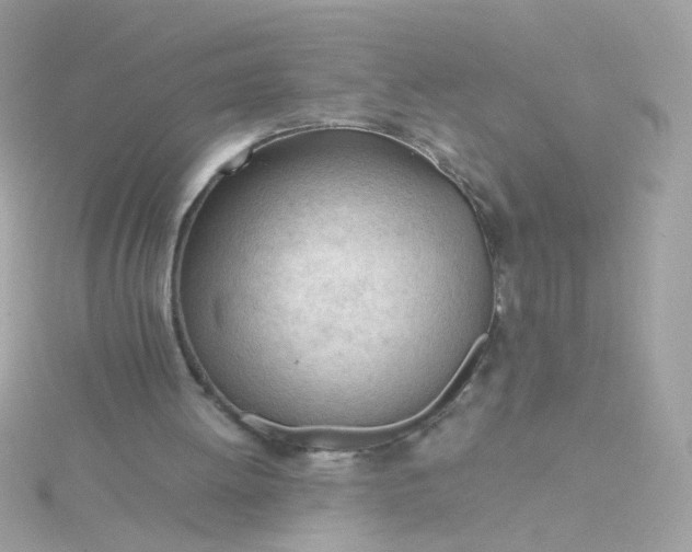 X0000115680052200911251800