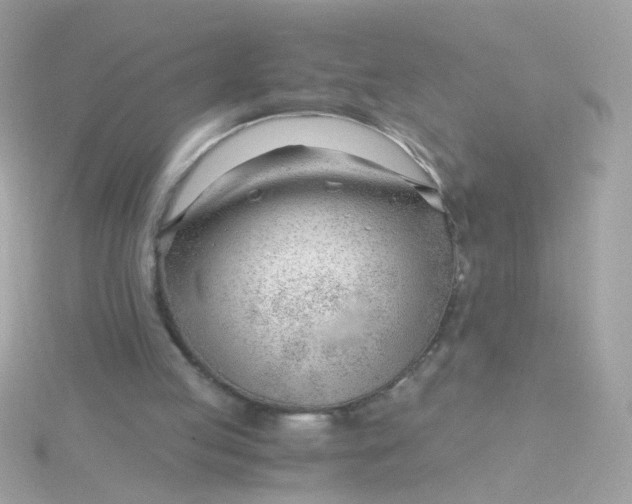 X0000115680053200911251800