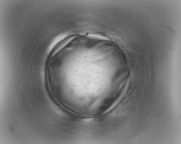 X0000115680054200911251800